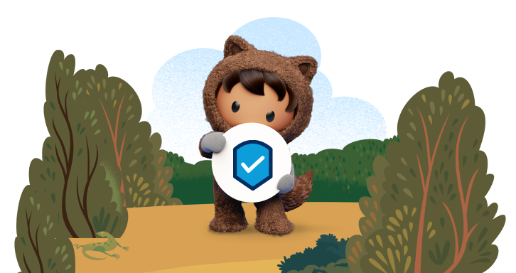 Salesforce 安全性