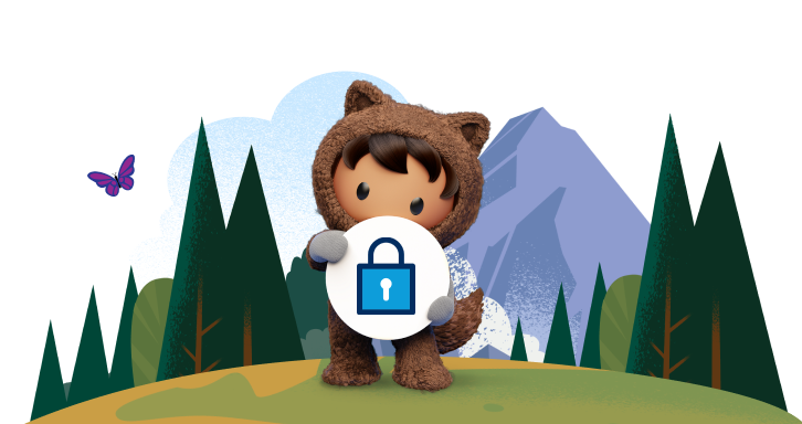 Salesforce Security